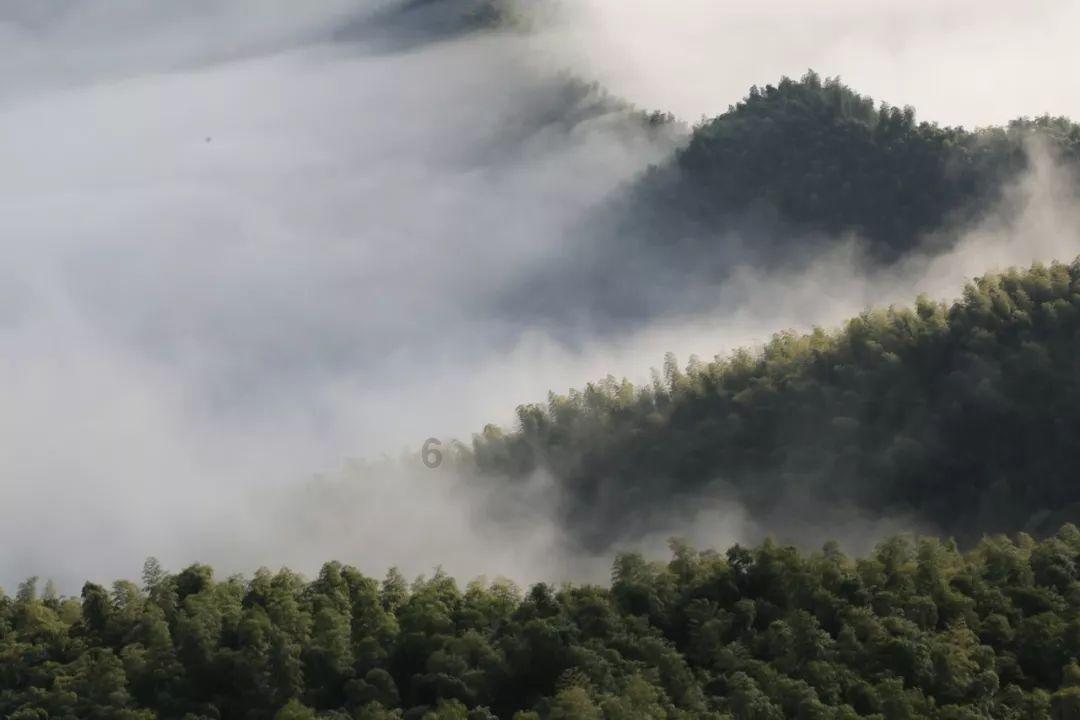 古代穷人每天吃什么别被电视剧误导了,你可能一天都撑不下去